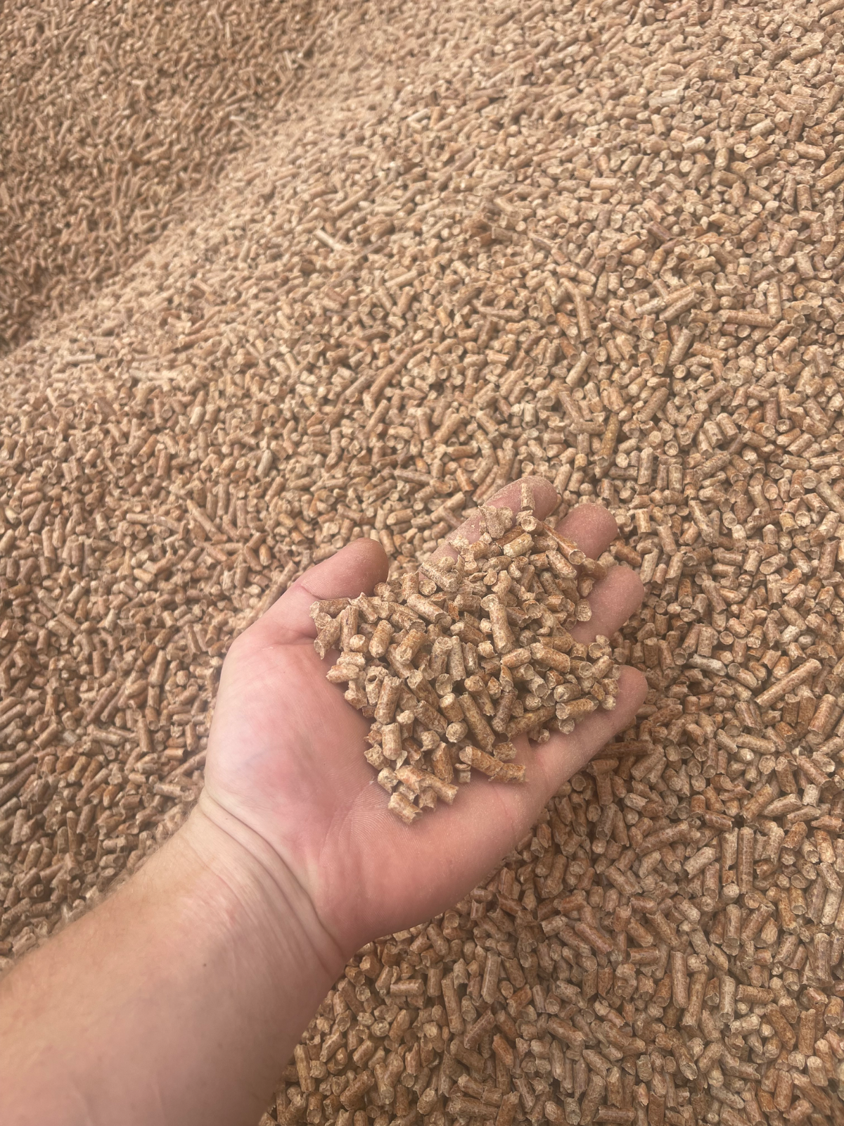 PELLET SOSNOWY USA 6 mm | POPIÓŁ TYLKO 0,15% | 17,82 MJ/kg | WORKI 15 KG